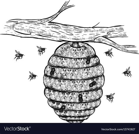 beehive drawing images.